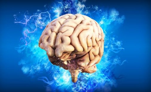 Почему крепкая память вредит интеллекту человека — ответ ученых