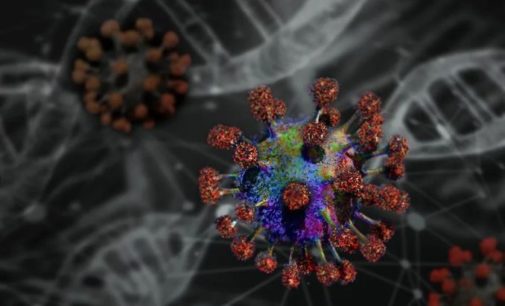 Когда закончится пандемия коронавируса — Китай шокировал прогнозом