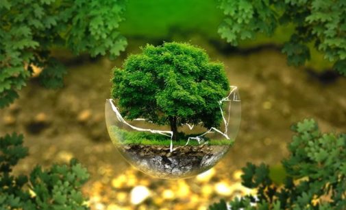 Эко-карантин: как позаботиться об окружающей среде во время самоизоляции