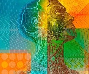 227d3bd3a2dda0bd8a7373a23d8c8d25fb14b99a-6686677