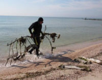 В Запорожской области водолазы очищают дно Азовского моря перед началом курортного сезона