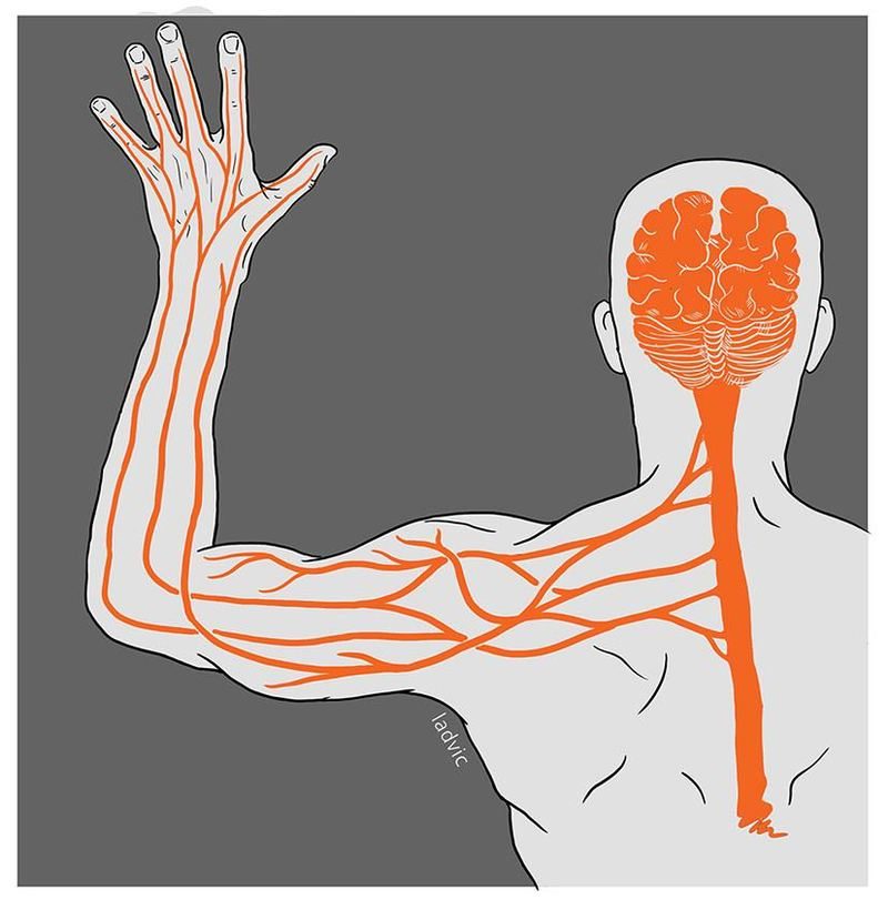 content_d0b8d0bcd0bcd0bcd183d0bdd0b8d182d0b5d182-9243514