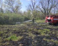 Запорожские пожарные за сутки потушили 10 пожаров в экосистемах: из них один лесной