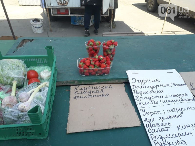 klubnika1_5ea16198cd80c-3324025