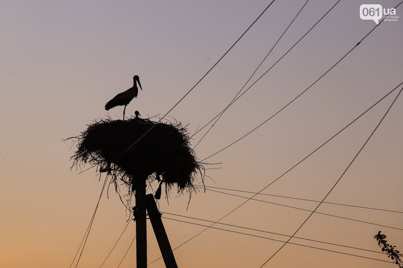 img12455ee7698e18f5e_5ee879bb1dfab-6604831