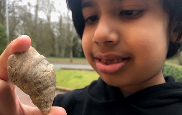 В Британии ребенок нашел окаменелость, возрастом 500 миллионов лет