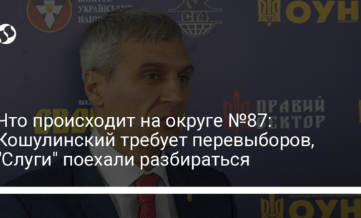 Что происходит на округе №87: Кошулинский требует перевыборов, "Слуги" поехали разбираться