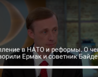 Вступление в НАТО и реформы. О чем поговорили Ермак и советник Байдена