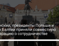 Зеленский, президенты Польши и стран Балтии приняли совместную декларацию о сотрудничестве