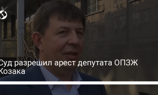 Суд разрешил арест депутата ОПЗЖ Козака