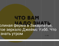 Буйволиная ферма в Закарпатье, золотое зеркало Джеймс Уэбб. Что надо знать утром