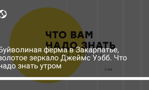 Буйволиная ферма в Закарпатье, золотое зеркало Джеймс Уэбб. Что надо знать утром