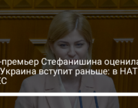 Вице-премьер Стефанишина оценила, куда Украина вступит раньше: в НАТО или ЕС