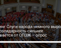 Рейтинг Слуги народа немного вырос, Евросолидарность сильнее отрывается от ОПЗЖ – опрос