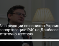 Кулеба о реакции союзников Украины на "паспортизацию РФ" на Донбассе: Недостаточно жесткая