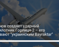 Антонов создает ударный беспилотник Горлиця-2 – его называют "украинским Bayraktar"