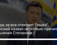 "Теперь за все отвечает Ляшко". Зеленский назвал несколько причин увольнения Степанова