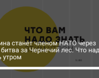 Украина станет членом НАТО через ПДЧ, битва за Чернечий лес. Что надо знать утром