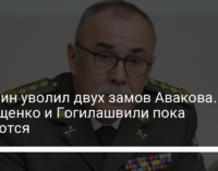 Кабмин уволил двух замов Авакова. Геращенко и Гогилашвили пока остаются