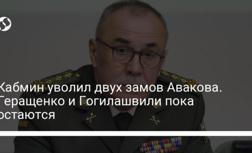 Кабмин уволил двух замов Авакова. Геращенко и Гогилашвили пока остаются