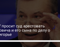 НАБУ просит суд арестовать Януковича и его сына по делу о Межигорье