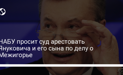 НАБУ просит суд арестовать Януковича и его сына по делу о Межигорье