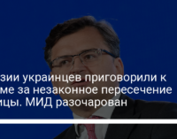 В Грузии украинцев приговорили к тюрьме за незаконное пересечение границы. МИД разочарован