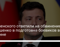 У Зеленского ответили на обвинение Лукашенко в подготовке боевиков в Украине