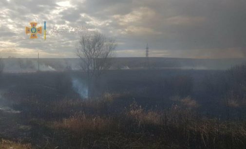 На Харьковщине за сутки выгорели 29 гектаров сухой травы: один из масштабных пожаров был в Дергачах, — ФОТО, ВИДЕО