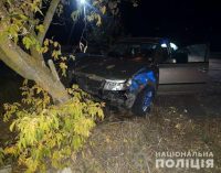 В Мелитопольском районе в результате ДТП погиб мужчина