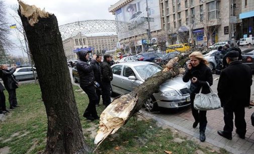 Прячьте автомобили и не ходите под деревьями: в Киеве объявили штормовое предупреждение