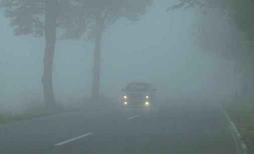 Дороги Одесской области накрыло туманом: патрульные просят водителей быть бдительными