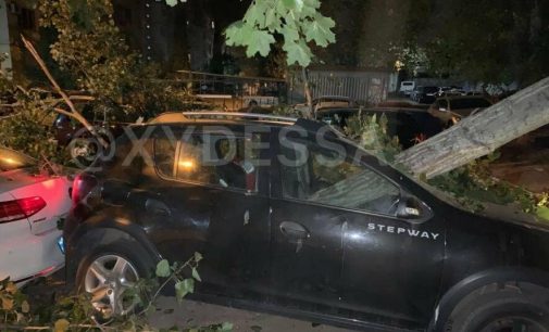 В одесском дворе ночью дерево рухнуло на восемь автомобилей,- ФОТО