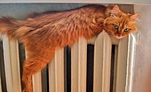 Стало известно, когда в Одессе начнется отопительный сезон, — ВИДЕО