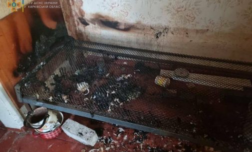 Упала свечка: в Харьковской области из-за пожара в частном доме погибла пенсионерка, — ФОТО