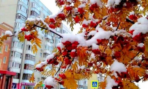 Снежный фронт движется на Харьков: погода сегодня