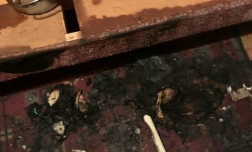 Хозяйка квартиры едва не погибла из-за непотушенной сигареты: в Харькове произошел пожар в «многоэтажке», — ФОТО