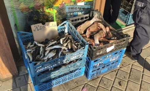 Красная икра и рыба: полицейские Одесской области поймали шестерых нарушителей правил рыболовства и торговли биоресурсами, — ФОТО