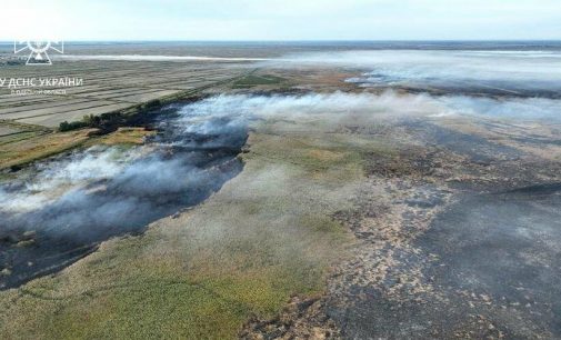 В Одеській області горять плавні, — ФОТО