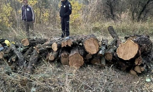 На Одещині правоохоронці викрили «чорного лісоруба», — ФОТО