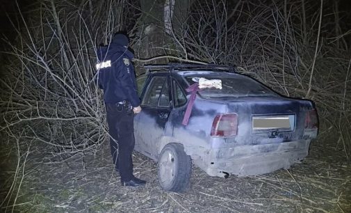 Автівка врізалася в дерево: на Одещині у ДТП травмувалася жінка