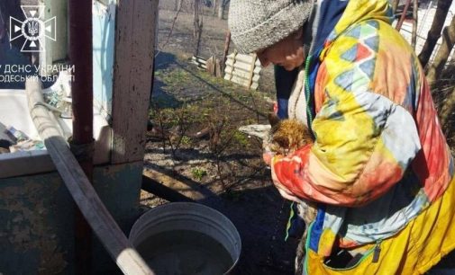 В Одеській області на пожежі врятували кота, — ФОТО, ВІДЕО