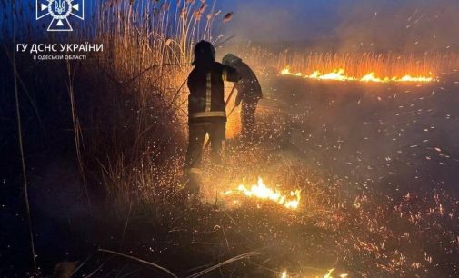 В Одесі загорівся очерет: пожежа охопила 5 000 квадратних метрів, — ФОТО, ВІДЕО