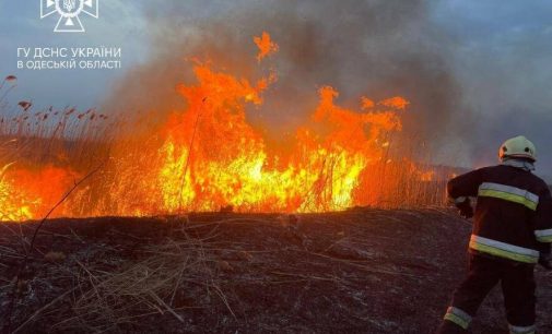 В Одесі на полях фільтрації сталася пожежа площею 2000 квадратних метрів, — ФОТО, ВІДЕО