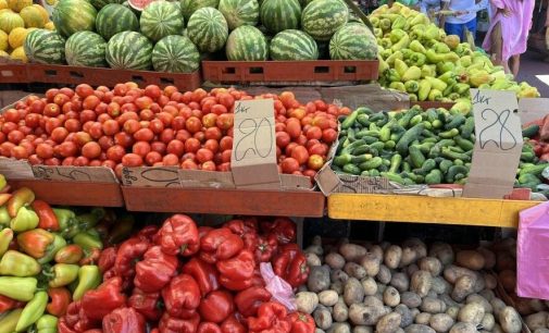 Базарний день: скільки на одеському Привозі коштують дині, помідори, виноград та цибуля