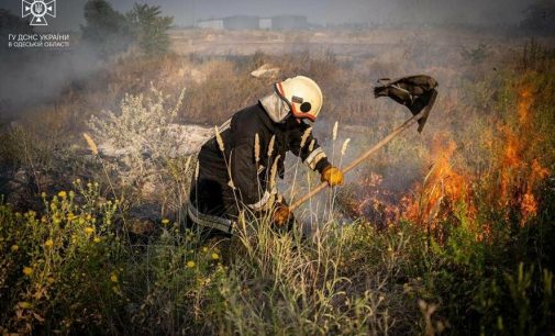 На Одещині за тиждень вогонь знищив 95 гектарів української землі