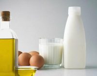 Олія, яйця, молоко: в якому одеському супермаркеті дешевше, — ФОТО