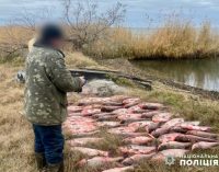 Поліцейські Одещини викрили браконьєра на озері Ялпуг