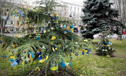 В Міському саду Одеси з’явилася ялинка єднання