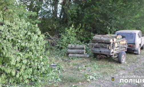 Заготовляв дрова у протиправний спосіб: за вирубку лісу судитимуть жителя Одещини